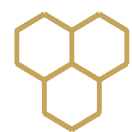 kingsheart-honeycomb-heading kingsheart-honeycomb-heading